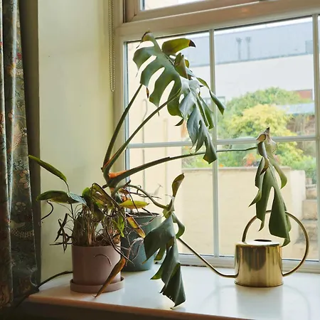 One Bedroom Basement Flat In Coronation Road