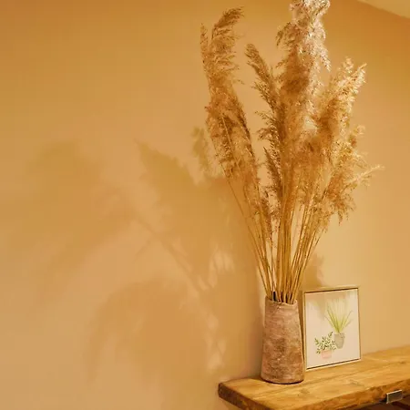 One Bedroom Basement Flat In Coronation Road * Bristol