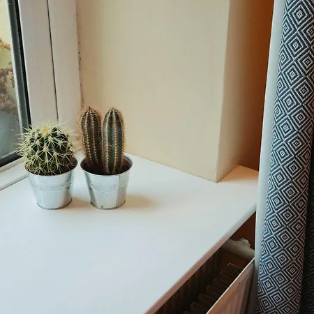 One Bedroom Basement Flat In Coronation Road דירה בריסטול